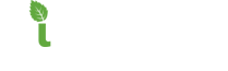Mint Formations